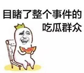 资深娱乐吃瓜群众